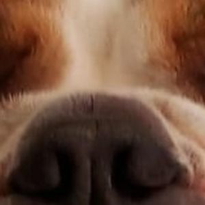 Meet your Posher, Jerry